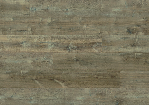Regal Oak