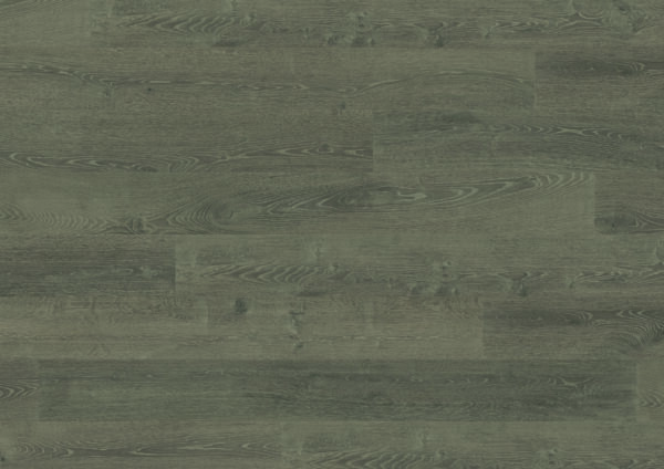 Regal Oak - Image 7