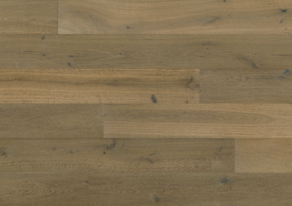 Regal Oak - Image 9