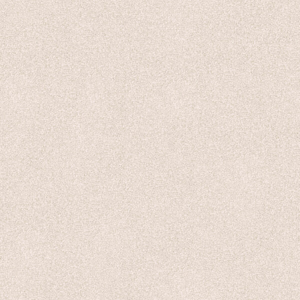 Velvet Appeal - Image 13