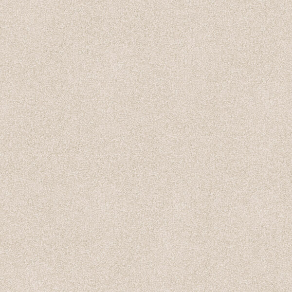 Velvet Appeal - Image 14