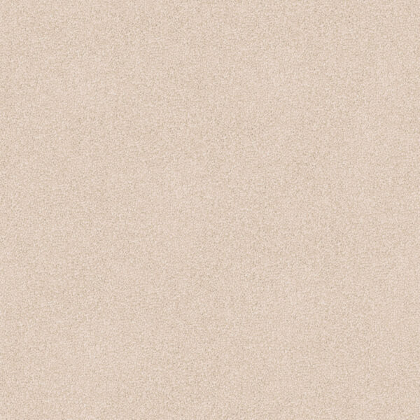 Velvet Appeal - Image 15