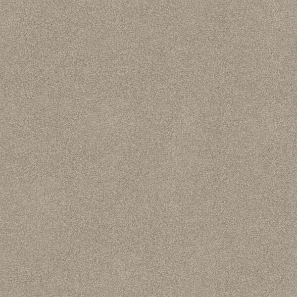 Velvet Appeal - Image 16