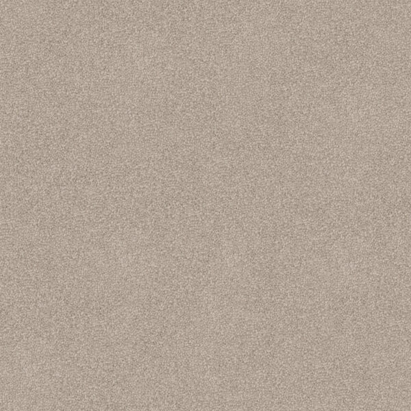 Velvet Appeal - Image 17