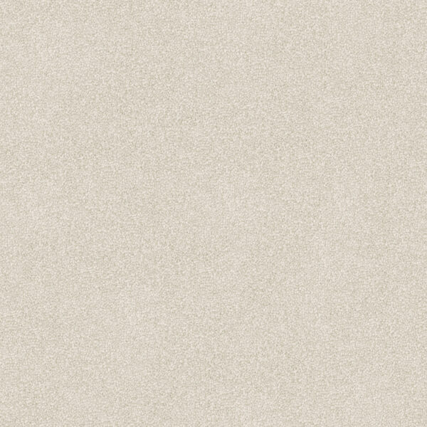 Velvet Appeal - Image 19