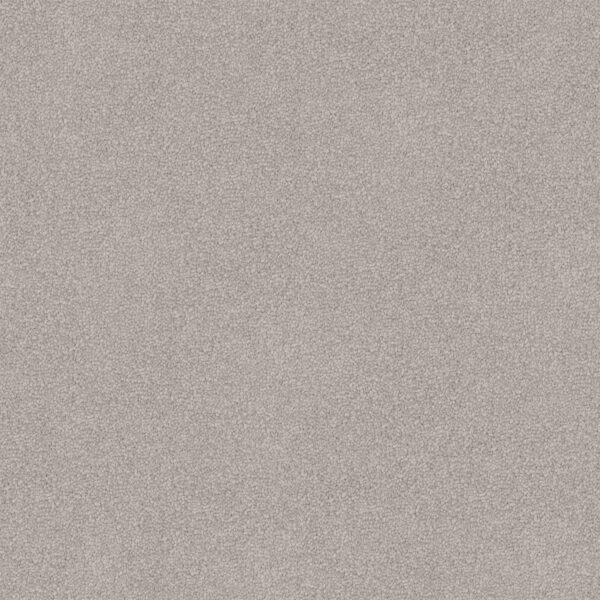 Velvet Appeal - Image 20