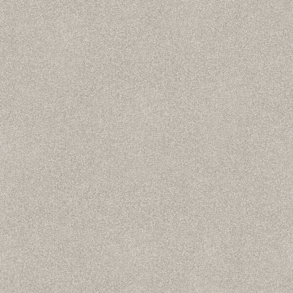 Velvet Appeal - Image 21