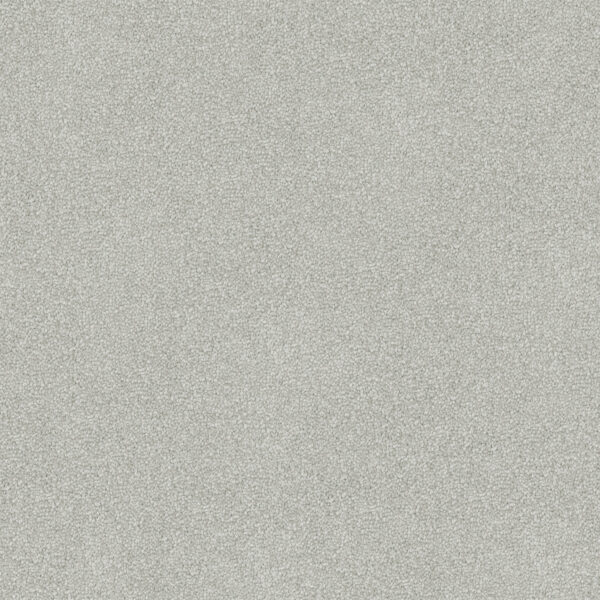 Velvet Appeal - Image 23
