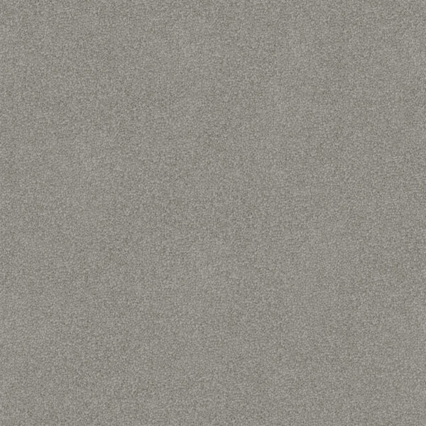 Velvet Appeal - Image 25