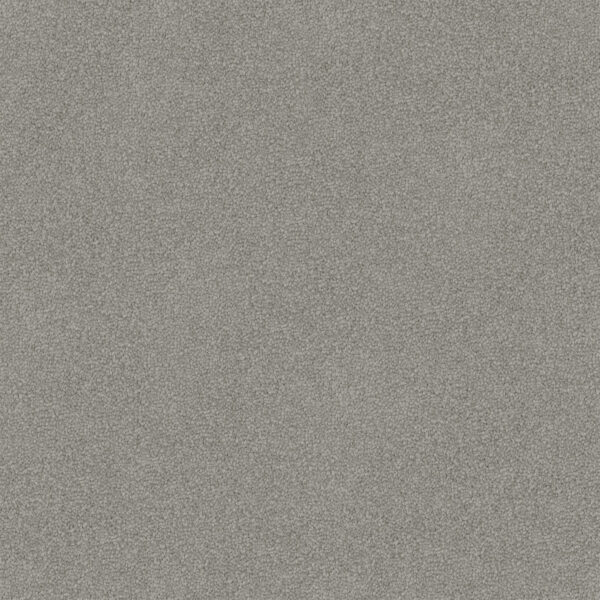 Luxury appeal - Image 6