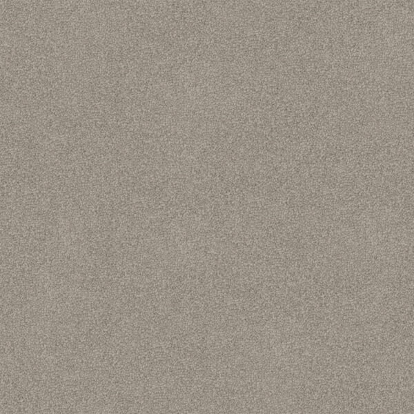 Velvet Appeal - Image 2