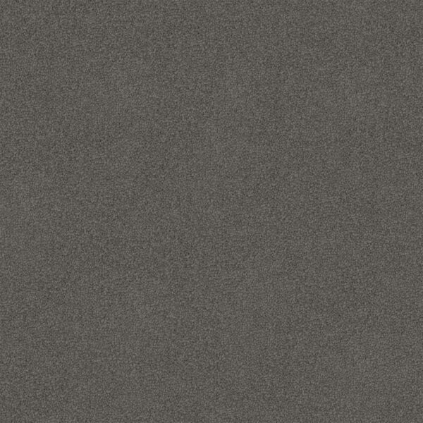 Velvet Appeal - Image 5
