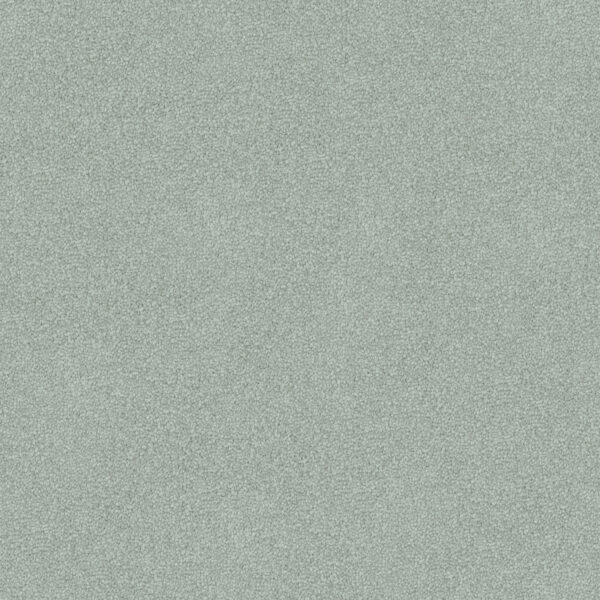 Velvet Appeal - Image 12