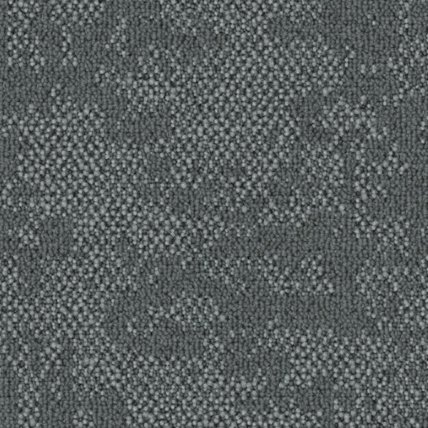 Curious Path - Image 7
