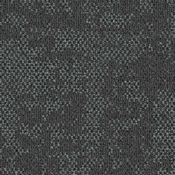 Curious Path - Image 3