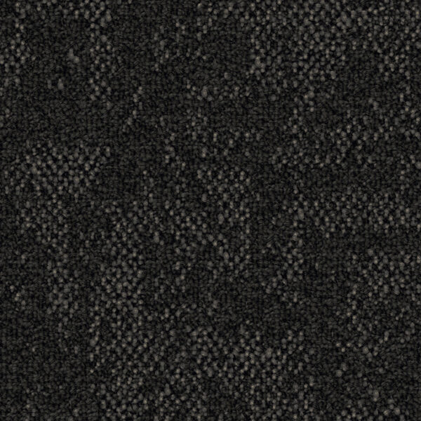 Curious Path - Image 4