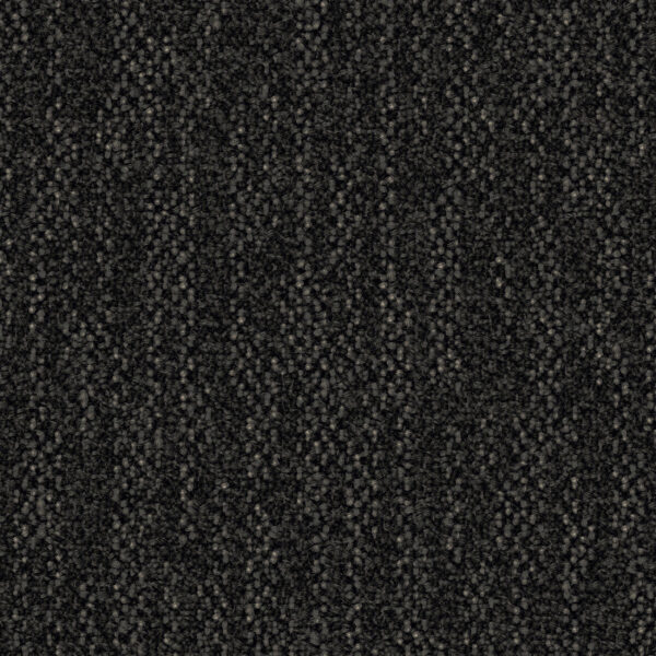 Forge Ahead 4m - Image 3
