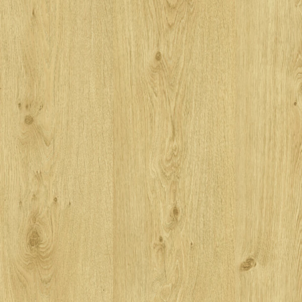 Fika 0V - Image 4