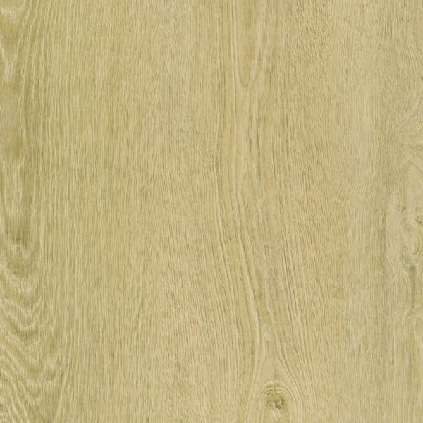 Fika 4V - Image 8