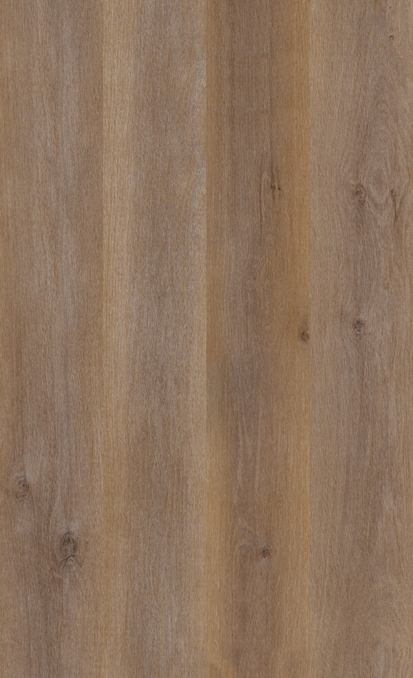 Legacy - Image 10