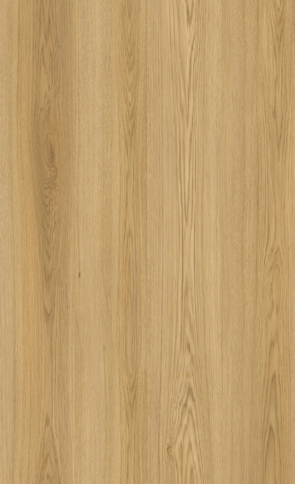 Legacy - Image 12
