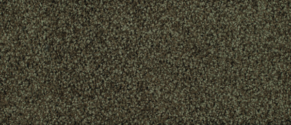 Pearl Bay - Image 13