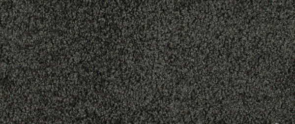 Pearl Bay - Image 2