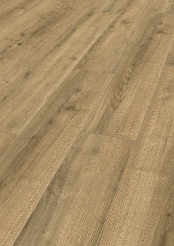Suite Wide - Image 3