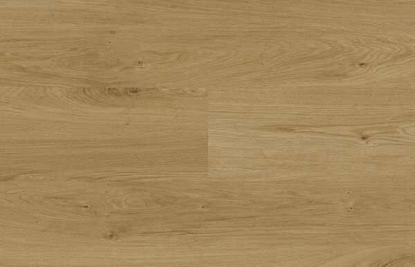 Fortis - Image 6