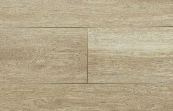 Amento - Image 6