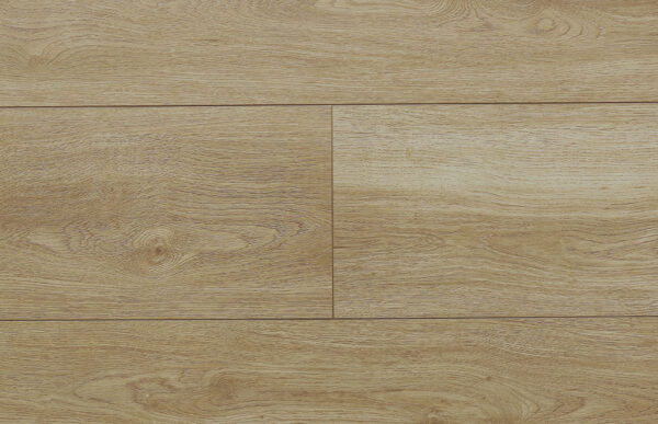 Amento - Image 7