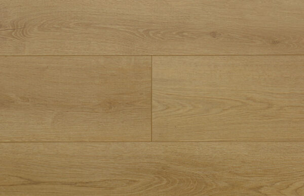 Amento - Image 4