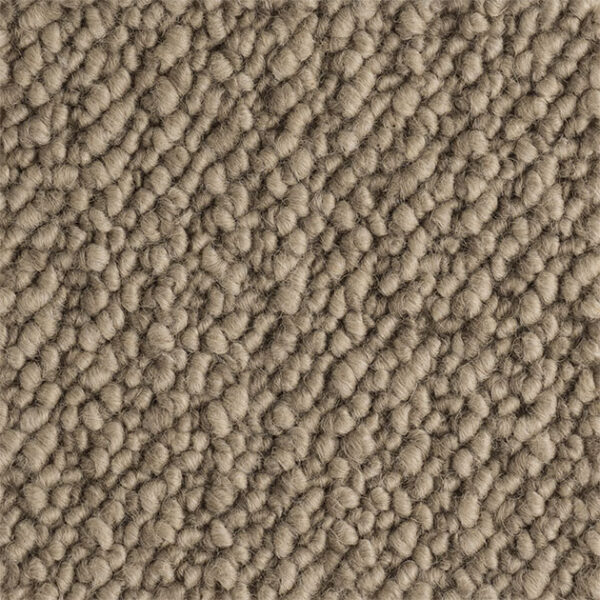 Aoraki - Image 6