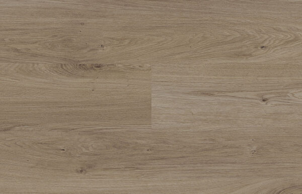 Fortis - Image 2