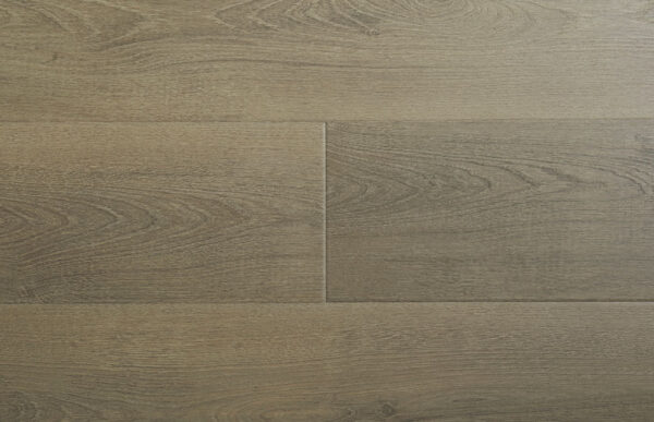 Fortis - Image 4