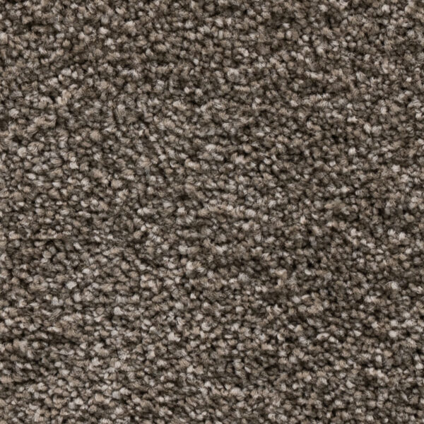 Okiwi Bay - Image 4