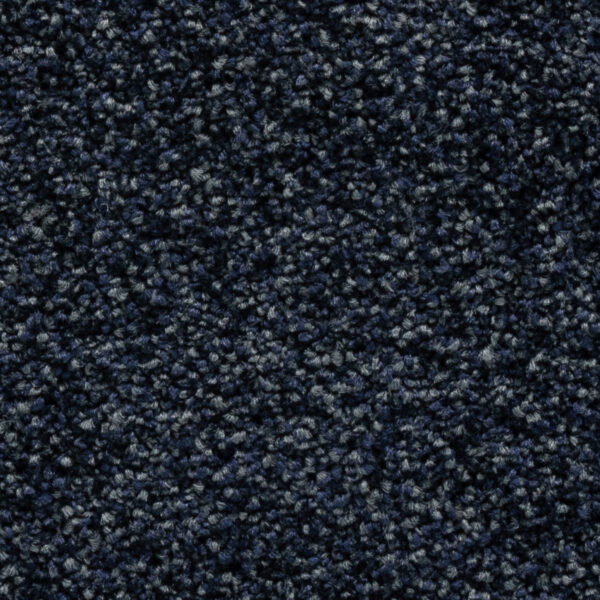 Okiwi Bay - Image 6