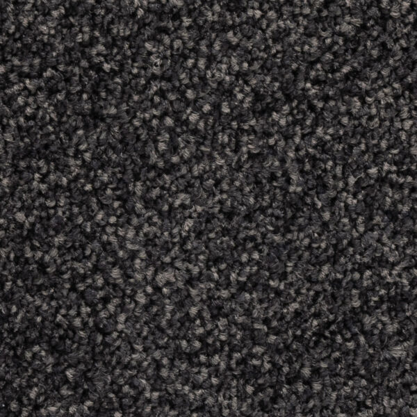 Okiwi Bay - Image 8