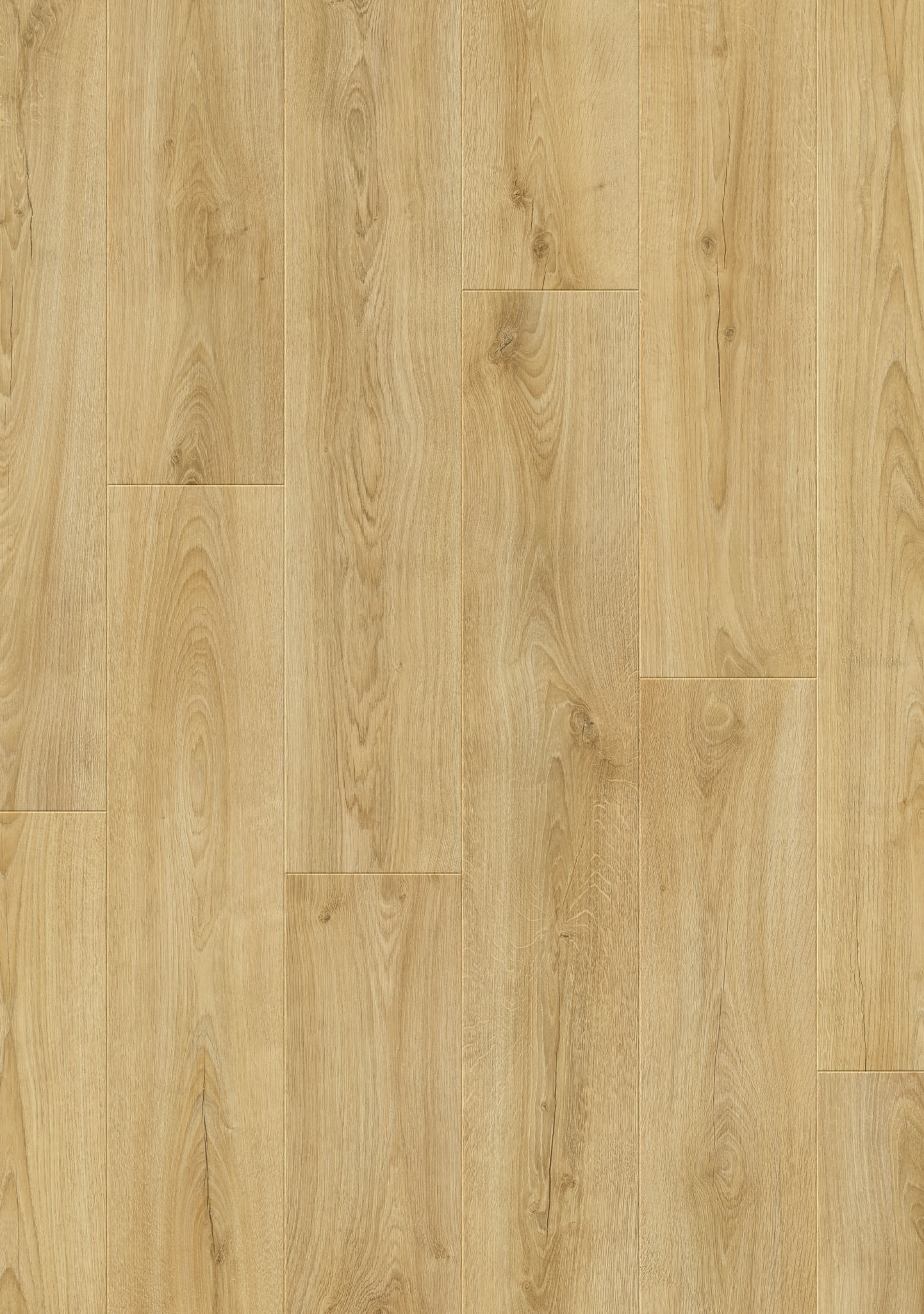 Amor Wide - Image 10